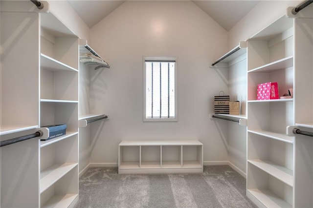 spacious closet with lofted ceiling and carpet flooring