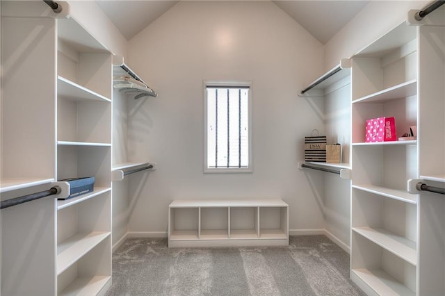 14608 Aspen Cir, Basehor, KS 66007 - walk in closet featuring carpet and lofted ceiling