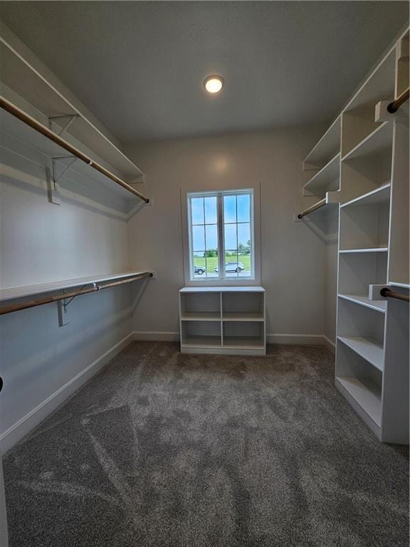 14608 Aspen Cir, Basehor, KS 66007 - walk in closet featuring carpet flooring