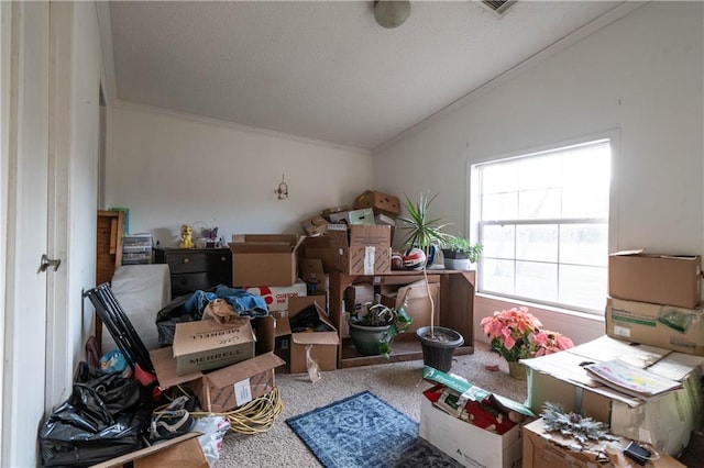 miscellaneous room featuring crown molding, carpet, and lofted ceiling