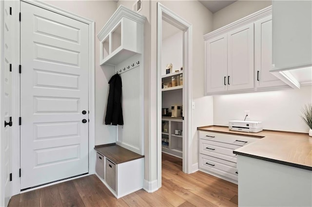 mudroom with light wood-type flooring