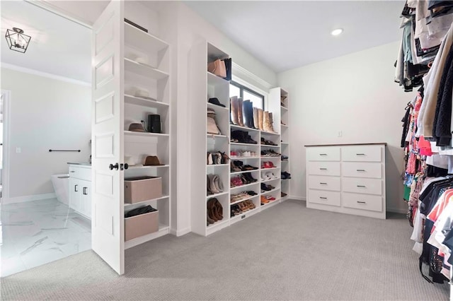 walk in closet featuring light carpet