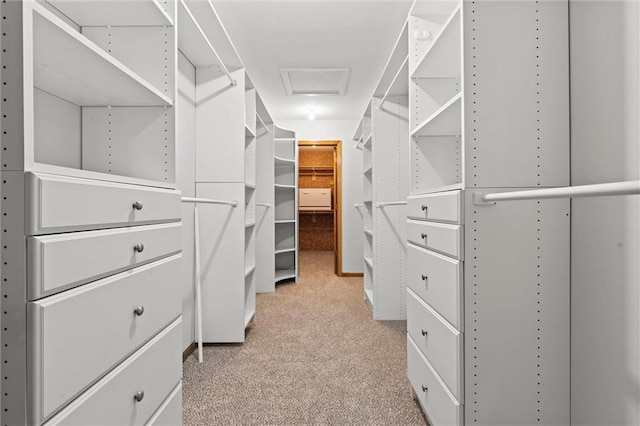 spacious closet with attic access and light carpet