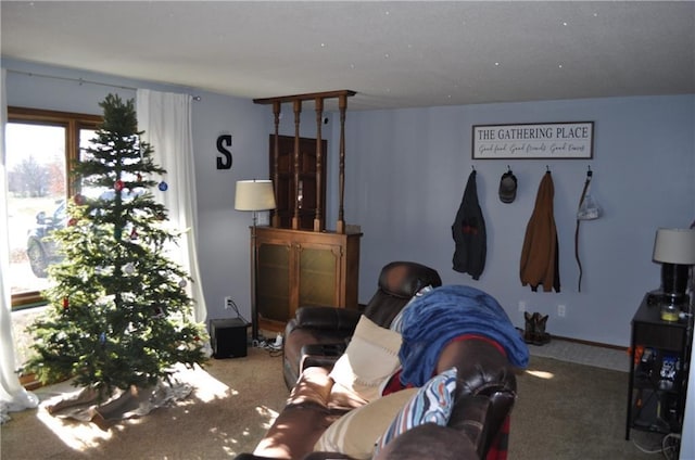 living room with carpet