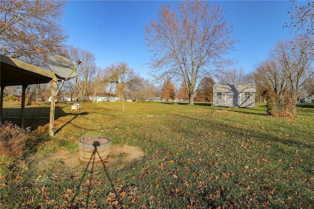 view of yard featuring a storage shed