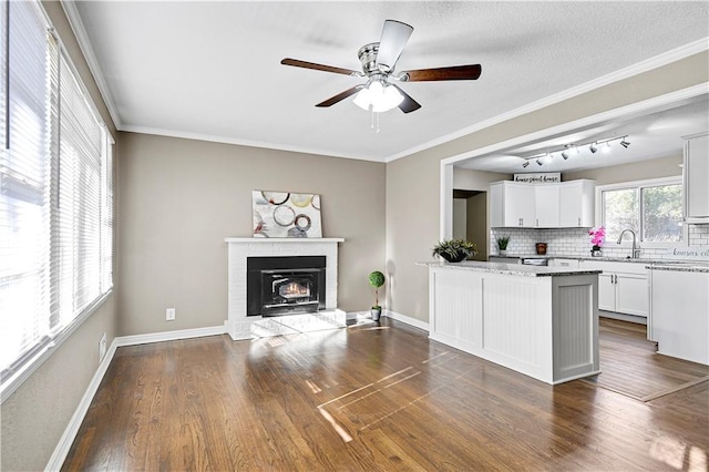 interior space featuring white cabinetry, light stone countertops, dark hardwood / wood-style floors, and ornamental molding