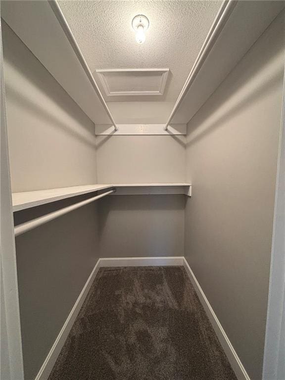 walk in closet featuring carpet flooring