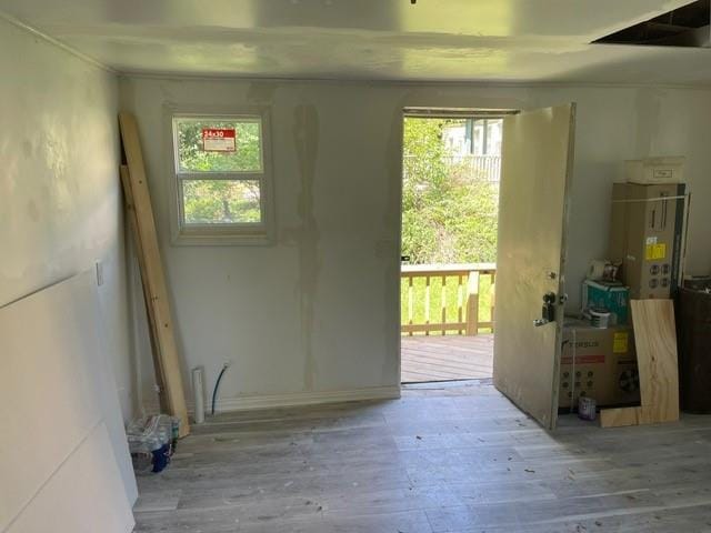 doorway to outside featuring plenty of natural light and light hardwood / wood-style floors