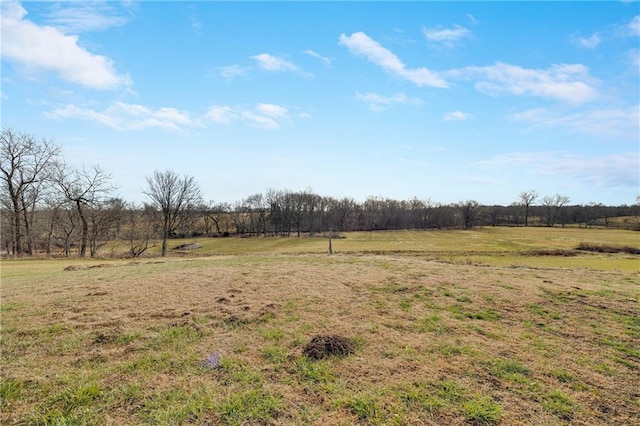 view of yard featuring a rural view