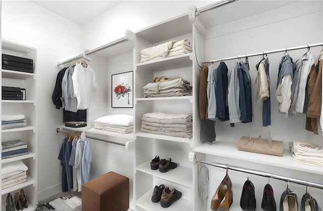 view of spacious closet