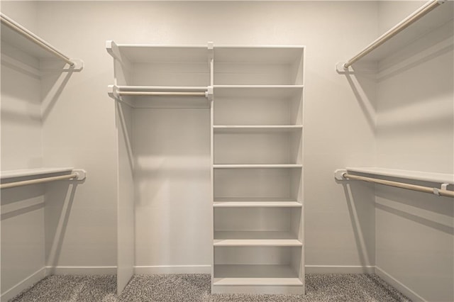 spacious closet with carpet flooring