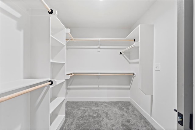 spacious closet with light colored carpet