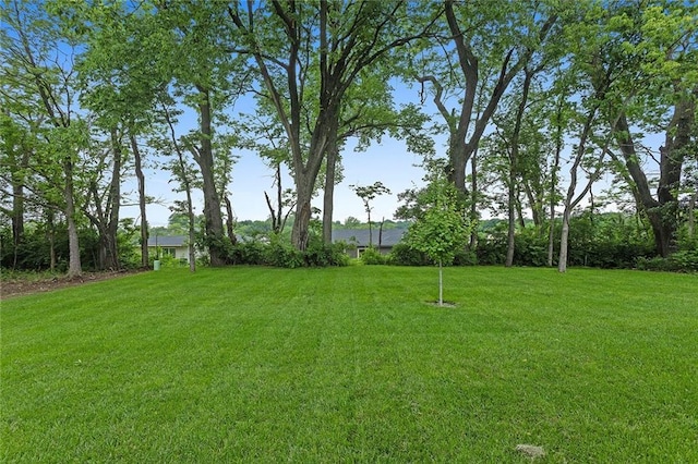 1316 N Holland Ct, Independence, MO 64056 - view of grassy yard