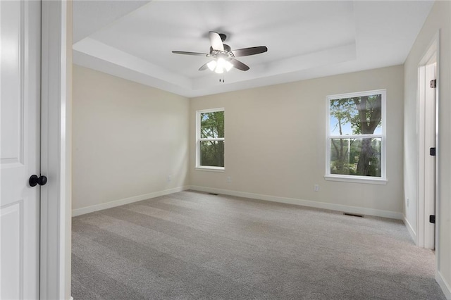 1316 N Holland Ct, Independence, MO 64056 - spare room with a tray ceiling, healthy amount of natural light, and carpet floors