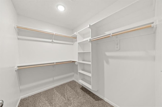 walk in closet with carpet