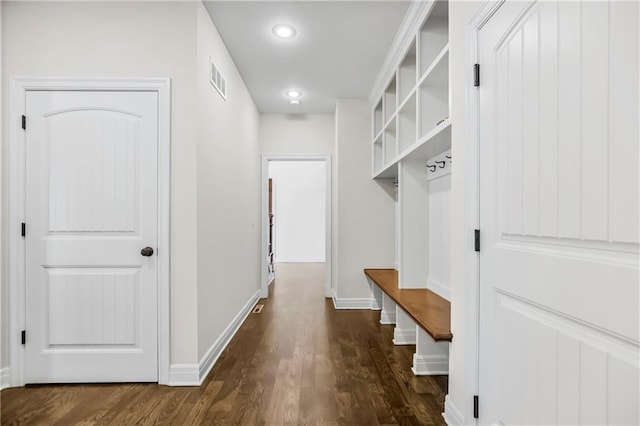 mudroom featuring dark wood-type flooring