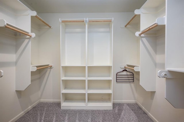 walk in closet with carpet