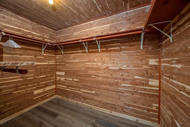 walk in closet featuring dark wood finished floors