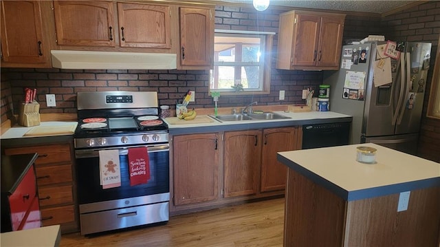 423 Elm St, Mound City, KS 66056 - kitchen featuring sink, light hardwood / wood-style floors, and appliances with stainless steel finishes