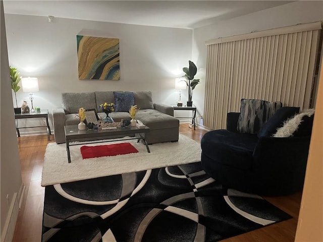 living room featuring wood-type flooring