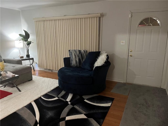 living room featuring wood-type flooring