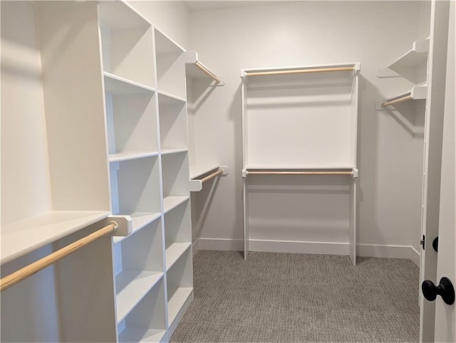 14709 Fairway St, Leawood, KS 66224 - walk in closet with carpet flooring