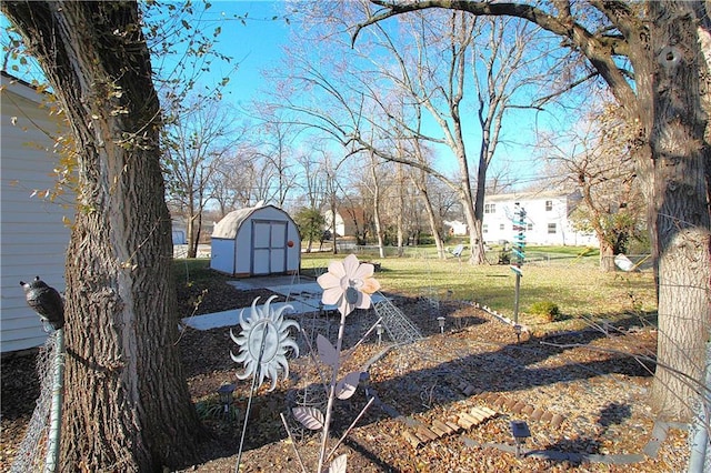 view of yard featuring a patio area and a storage unit