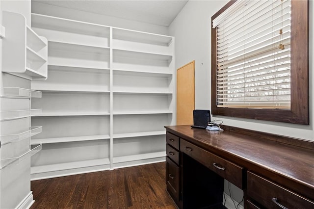 office space with dark hardwood / wood-style flooring