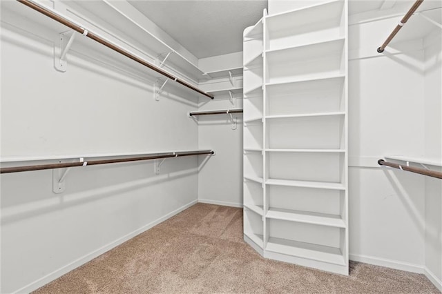 spacious closet with light colored carpet