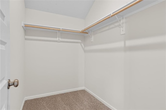 walk in closet with carpet floors