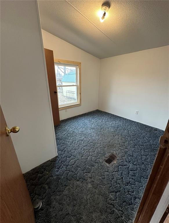 carpeted spare room featuring vaulted ceiling and a textured ceiling