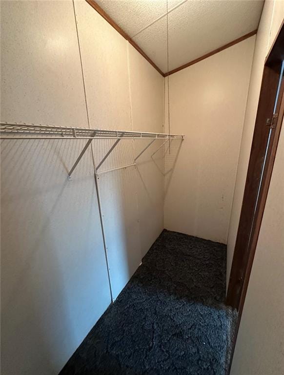 walk in closet featuring carpet floors