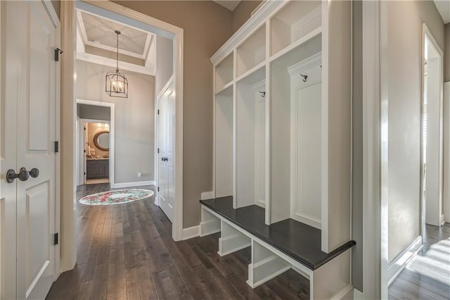 mudroom with a notable chandelier, dark hardwood / wood-style floors, and a raised ceiling