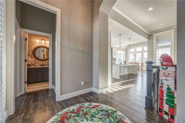 hall with dark hardwood / wood-style flooring, ornamental molding, and sink