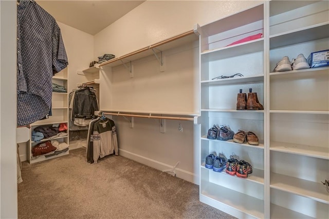 spacious closet with light colored carpet