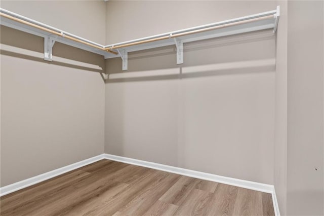 spacious closet featuring wood-type flooring