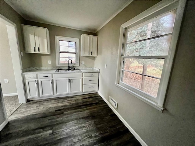 kitchen with crown molding, white cabinetry, sink, and dark wood-type flooring