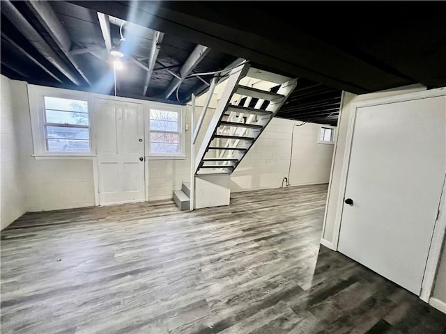 basement featuring wood-type flooring