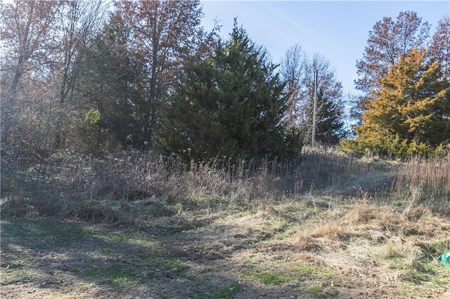 24298 Mount Olive Rd, Marshall, MO 65340 - photo 11