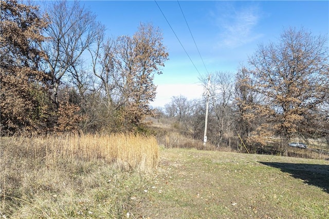 24298 Mount Olive Rd, Marshall, MO 65340 - photo 13