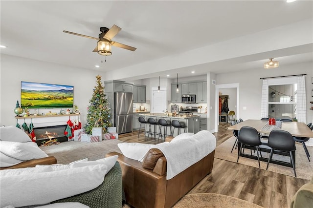 living room with ceiling fan and light hardwood / wood-style floors