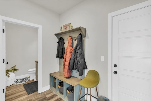 mudroom with hardwood / wood-style floors