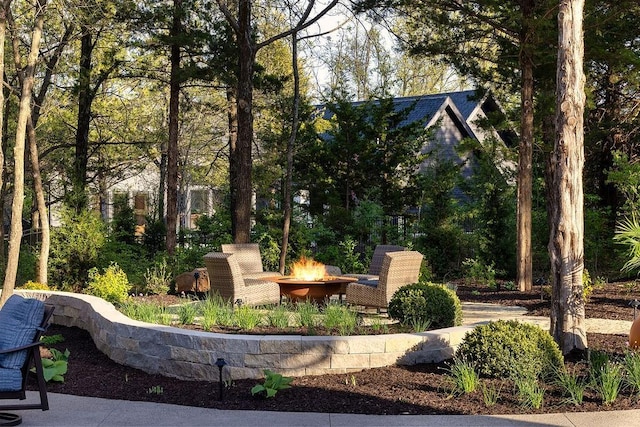 21359 W 93rd Ct, Lenexa, KS 66220 - view of community featuring a fire pit