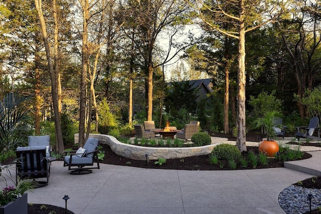 21359 W 93rd Ct, Lenexa, KS 66220 - view of property's community with a patio area and an outdoor fire pit