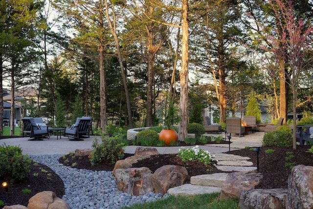 21359 W 93rd Ct, Lenexa, KS 66220 - view of yard featuring a patio area