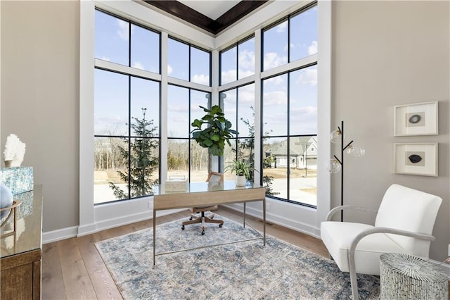 21359 W 93rd Ct, Lenexa, KS 66220 - office featuring wood-type flooring, baseboards, and a high ceiling