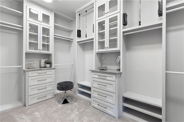 21359 W 93rd Ct, Lenexa, KS 66220 - spacious closet with carpet