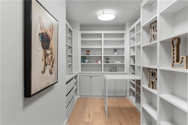 21359 W 93rd Ct, Lenexa, KS 66220 - view of storage area