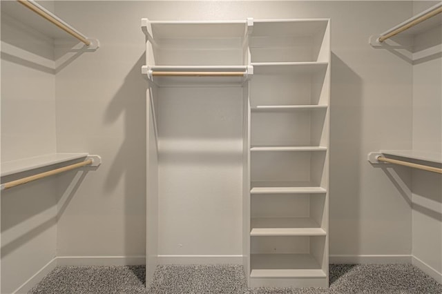 walk in closet with carpet flooring