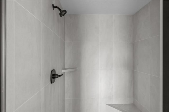 room details with tiled shower